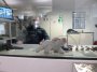 Nach Wirbel um Metzger: Gerichts-Wachtmeister stellen sich auch ein Schwein ins Schaufenster | Köln | EXPRESS